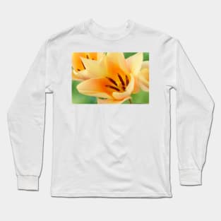 Tulipa  'Fur Elise'  Tulip  Greigii Group Long Sleeve T-Shirt